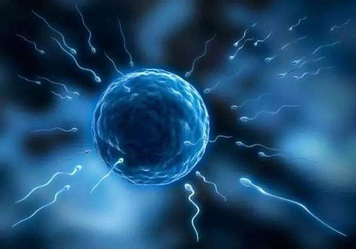 試管嬰兒被證實最多活到45歲？不是！
