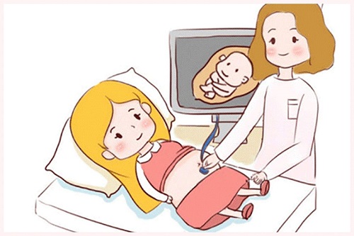 試管嬰兒移植前該如何調理子宮內膜？