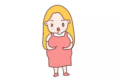 試管嬰兒費用明細包含哪些