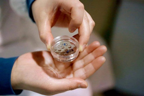 試管嬰兒適用于哪些女性