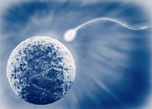 試管嬰兒費用大約多少？2022年合療有補貼嗎？