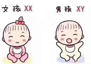 男方少精泰國(guó)三代試管價(jià)格多高
