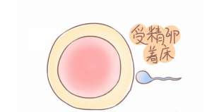 試管嬰兒的價(jià)格要多少