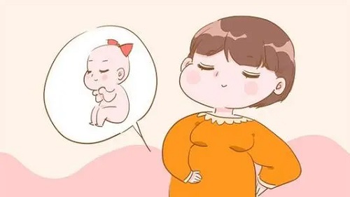 做泰國(guó)試管需要多少錢呢