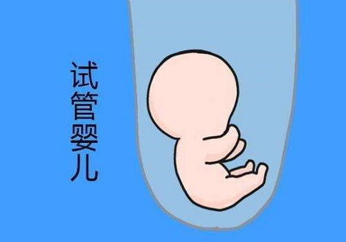 試管嬰兒具體的操作流程