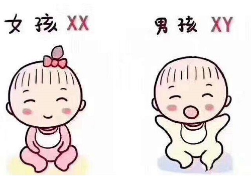 在美國做試管嬰兒多少錢