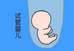 試管嬰兒具體的操作流程